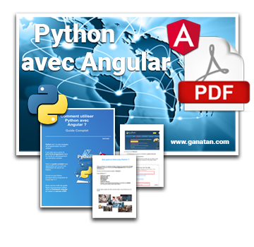Python avec Angular